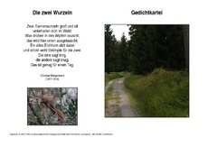 Die zwei-Wurzeln-Morgenstern.pdf